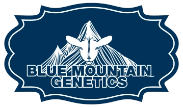 Blue Mountain Genetics